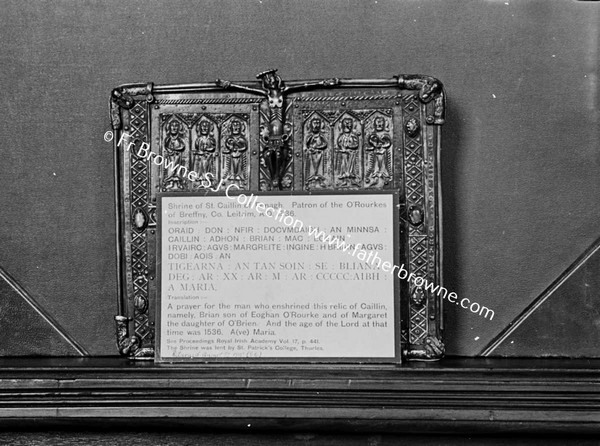 ST PATRICK COLLEGE SHRINE FOR ST CALLINS BOOK OF FERNAGH